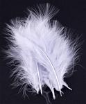 Marabu feathers