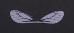 Wings decoration 80x15mm