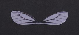 Wings decoration 80x15mm