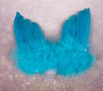 Angel wings decoration 16x13cm