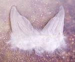 Angel wings decoration 16x13cm